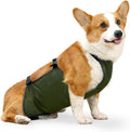 Dog Raincoat, Pet Raincoat, Waterproof Pet Clothing, Dog Rain Jacket, Abdominal Protection, Corgi Raincoat, Dog Belly Band, Breathable, Anti Dirty, Puppy Outfits, Doggy (Green, L)