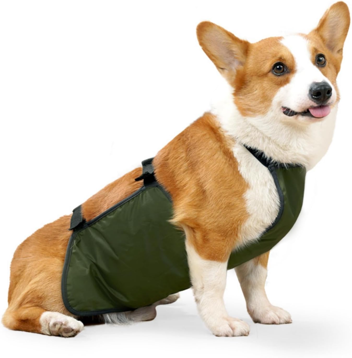 Dog Raincoat, Pet Raincoat, Waterproof Pet Clothing, Dog Rain Jacket, Abdominal Protection, Corgi Raincoat, Dog Belly Band, Breathable, Anti Dirty, Puppy Outfits, Doggy (Green, L)