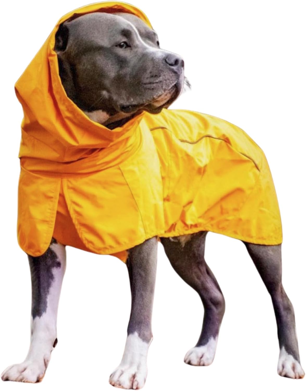 Dog Raincoat - All-Weather Protection and Comfort - Breathable Comfort, Adaptive Fit, and Safety Enhancements - Mustard Yellow - 3XL