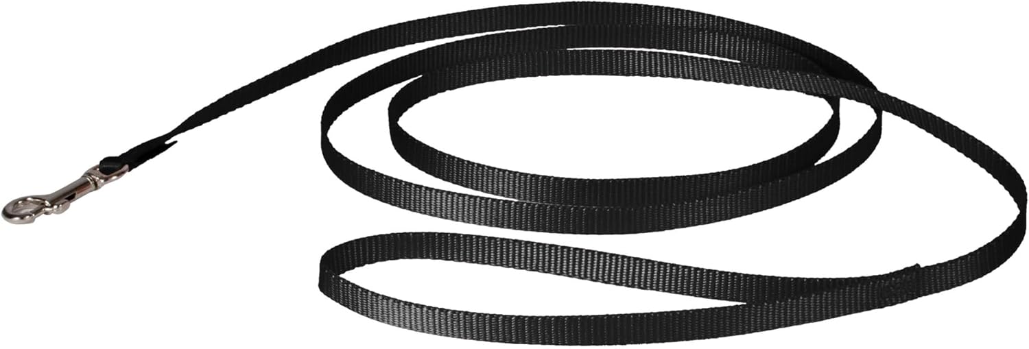 Nylon Leash, 3/8" x 6', Black