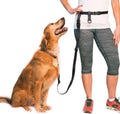 The  Adjustable Hands Free Dog Leash, Hand-Free Leash for Running, Jogging, Walking, Hiking and Training Service Dogs, Versatile All Dog Sizes - Made in USA - Regular, Black