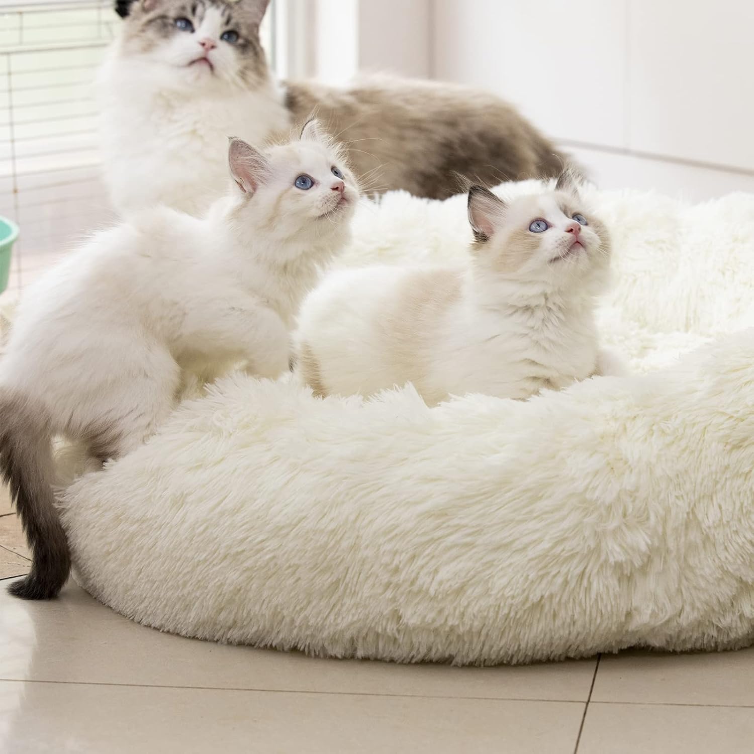 20-Inch Anti-Anxiety Fluffy Plush Faux Fur Round Bed for Relieving Joints and Improving Sleep in Pets, White