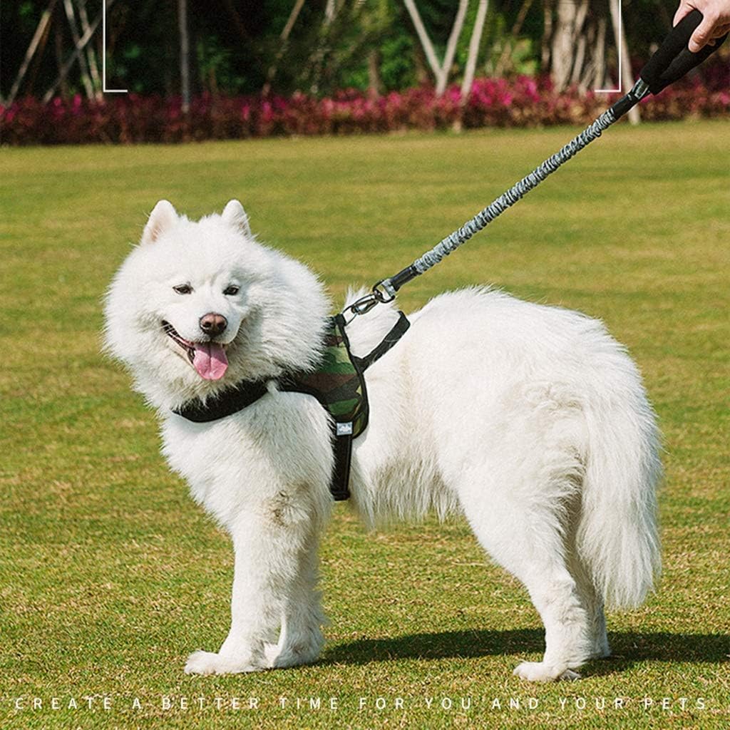 Explosion-Proof Punch Big Dog Rope Pet Leash Bold Dog Chain (Size :S)